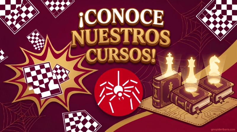 Cursos de Ajedrez GM Spideribarra